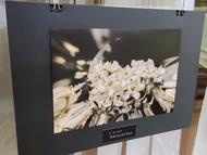 Новая фотовыставка в Пришвинке