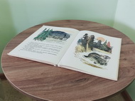 «Алёнушкины сказки» для Лучика 