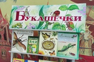 Удивительная жизнь насекомых